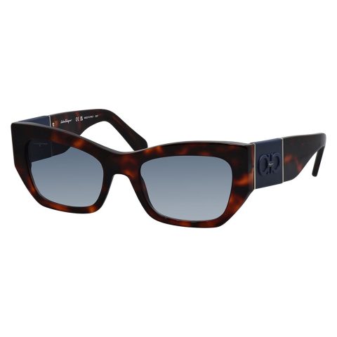 Salvatore Ferragamo SF 1059S 640 54mm Womens Cat Eye Sunglasses