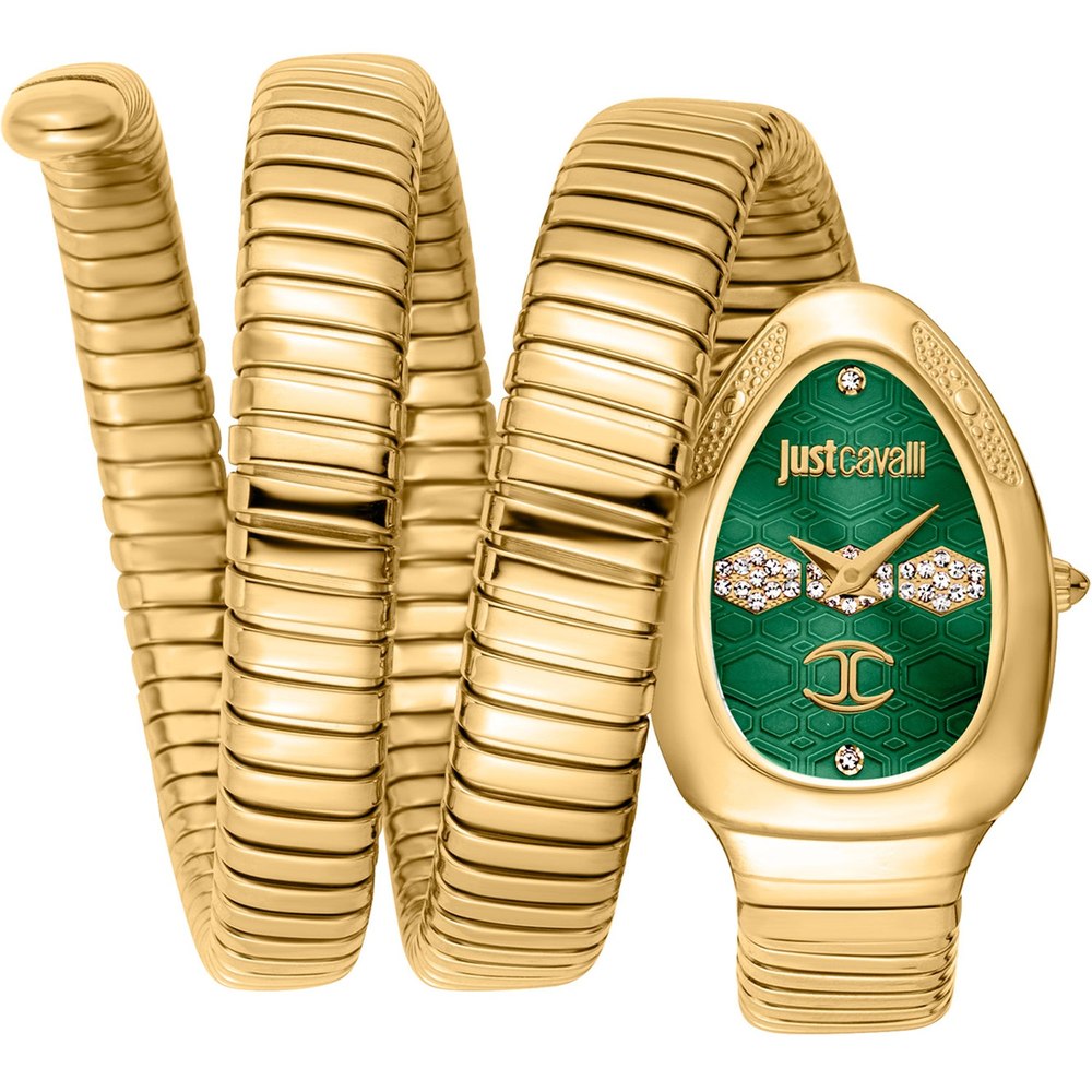 Just Cavalli Women’s Cosenza Green Dial Watch