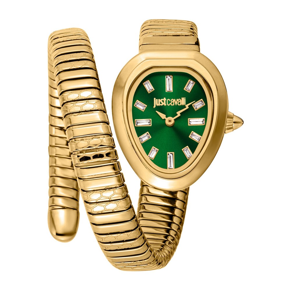Just Cavalli Women’s Aversa Green Dial Watch