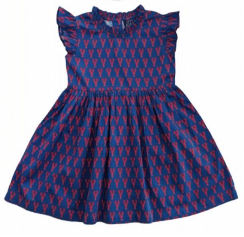 Girl’s Crawfish Ruffle Dress In Blue