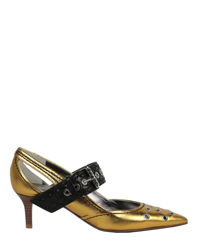 Pointed Toe Mary Jane Low Heel Pump