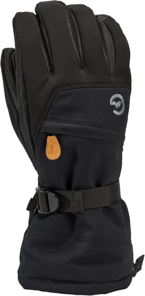 Gordini Stomp Ski Gloves – Men’s