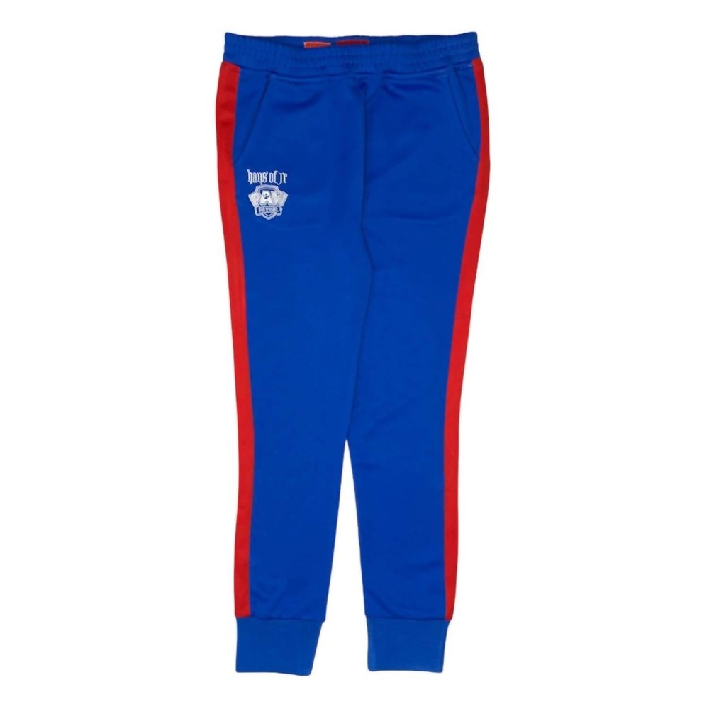 Kids’ Paw Patrol Jogger In Blue