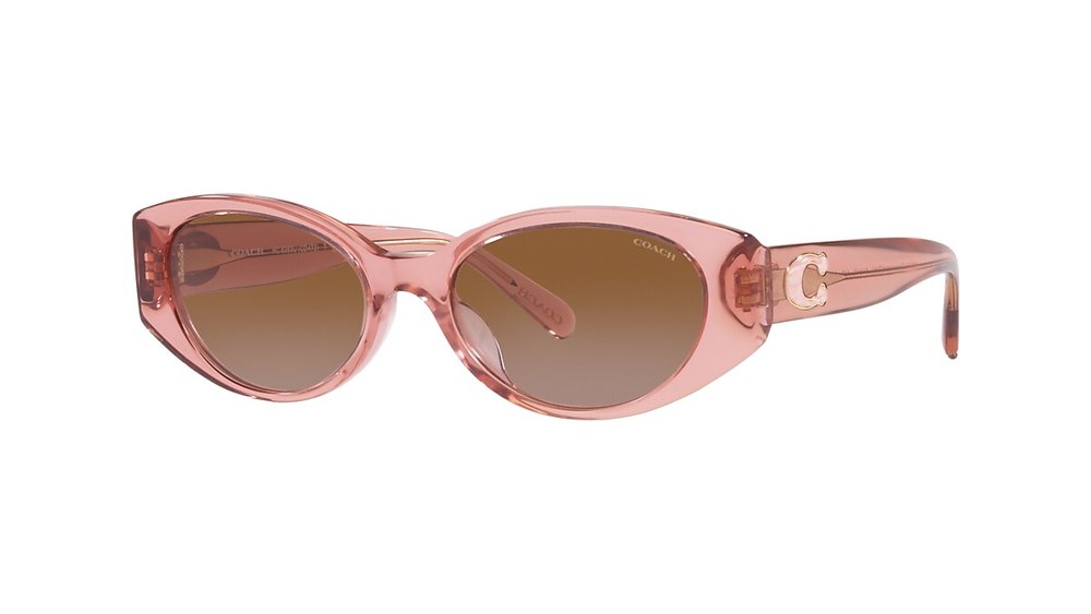 Coach Women’s 54mm Sunglasses 7163504361532