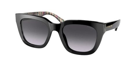 Coach Women’s 52mm Sunglasses 7163685339196