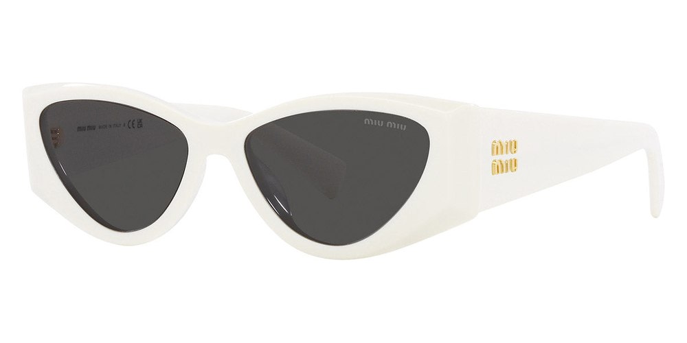 Miu Miu Women’s 54mm Sunglasses 7163674001468