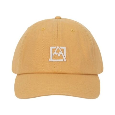 Avalanche Icon Low Curve Adjustable Cap