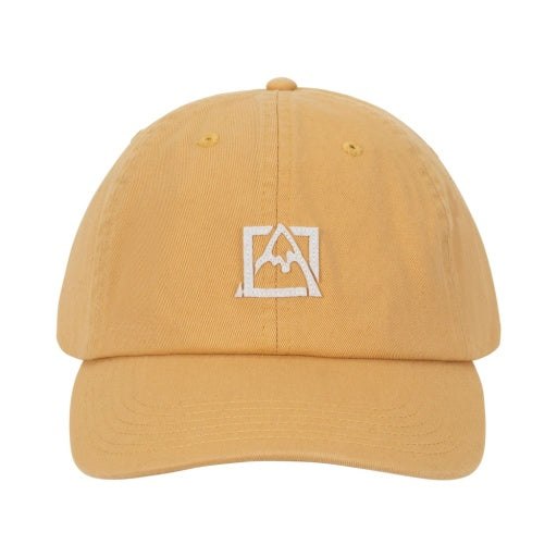 Avalanche Icon Low Curve Adjustable Cap