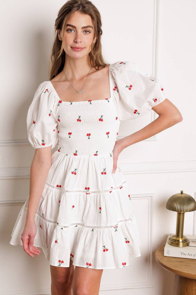 STILL DECIDING EMBROIDERED MINI DRESS