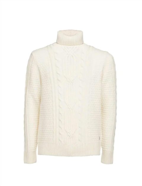 Cable Turtleneck Sweater In Ivory