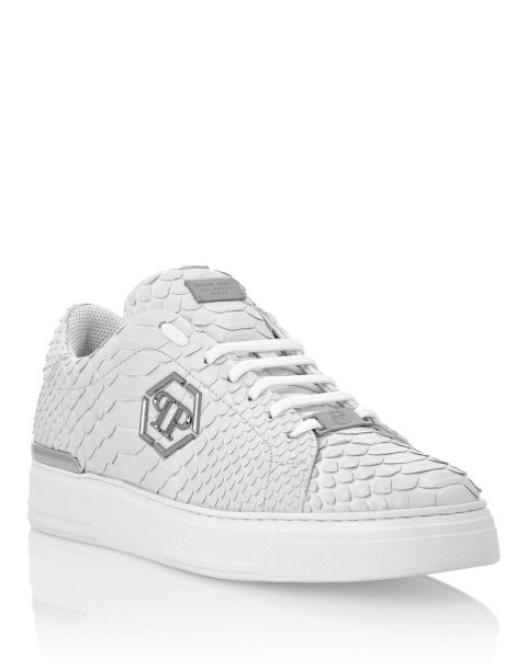 Python Lo-Top Sneakers Hexagon