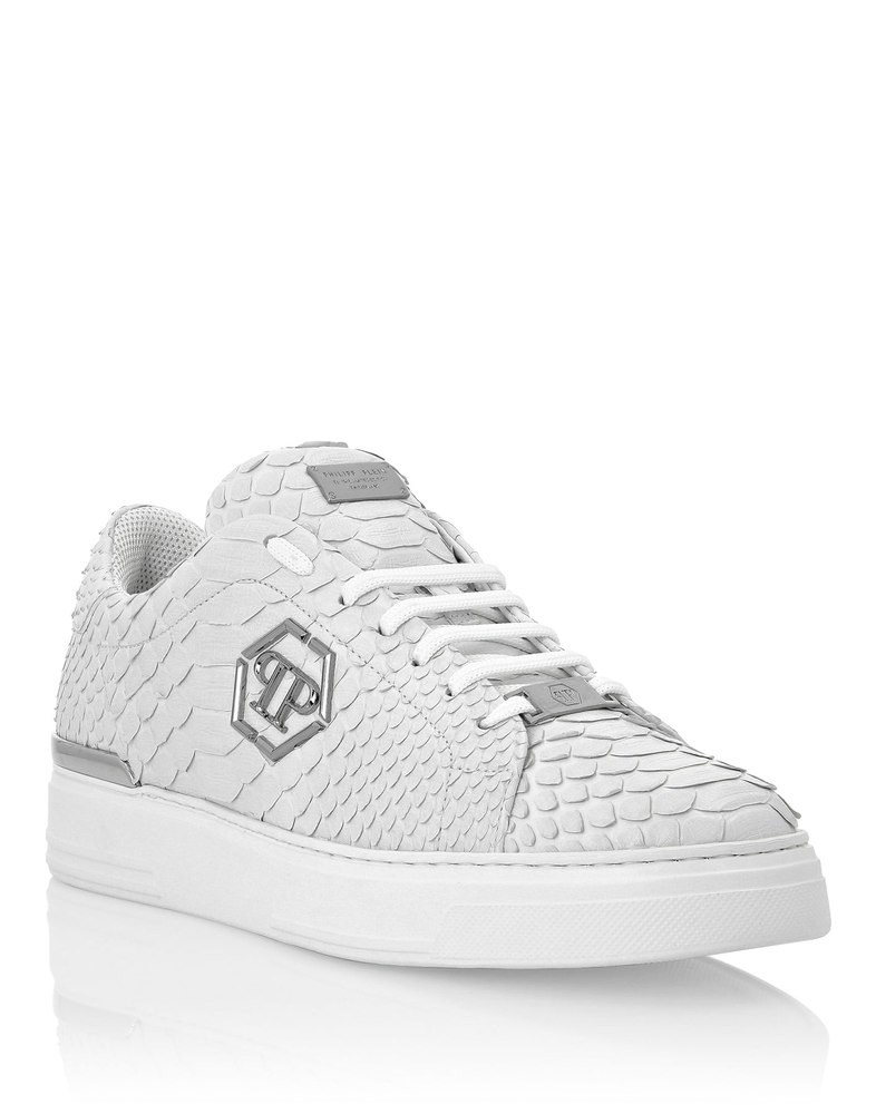 Python Lo-Top Sneakers Hexagon