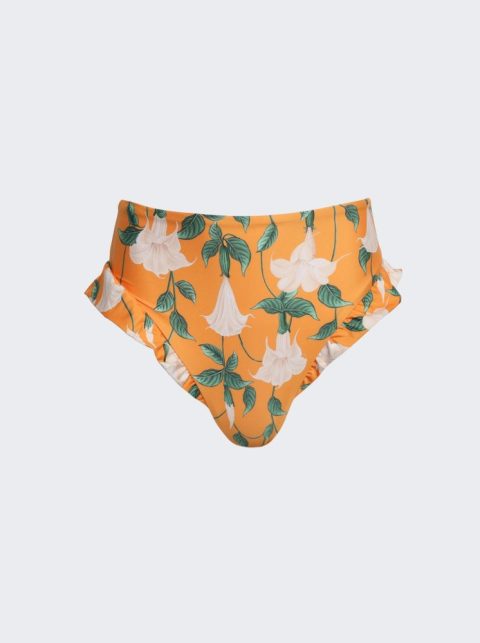 Jengibre American Bikini