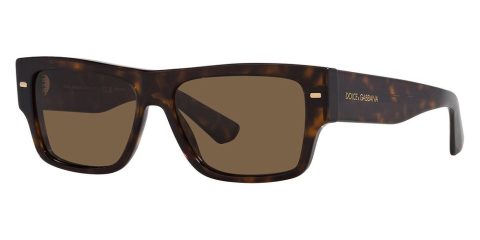 Dolce & Gabbana Men’s 55mm Havana Sunglasses