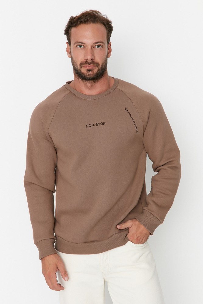 Trendyol Men’s Regular Sweatshirts 7197226238012