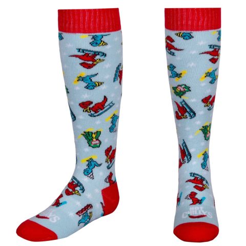 Hot Chilly’s Mid Volume Ski Socks – Youth