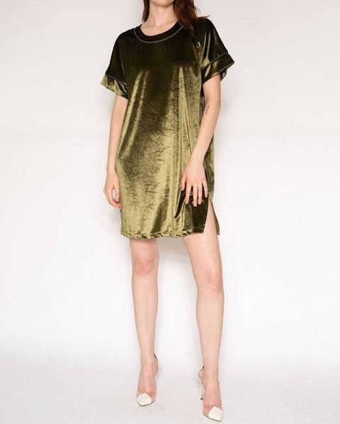 Velvet Dress In Dark Green