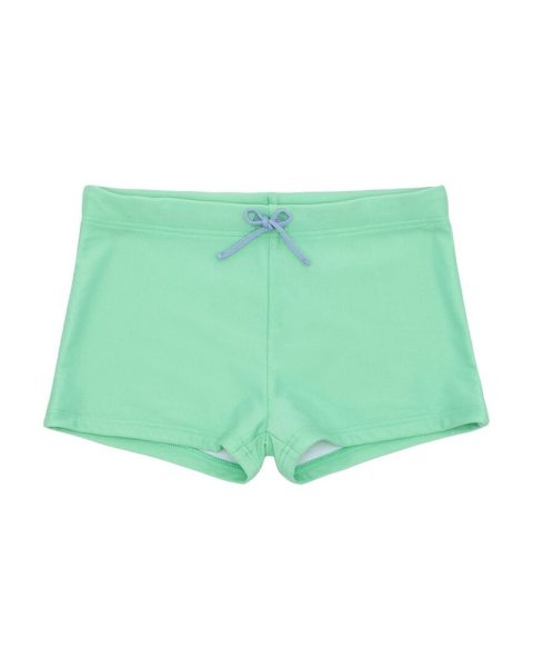Minnow Brief