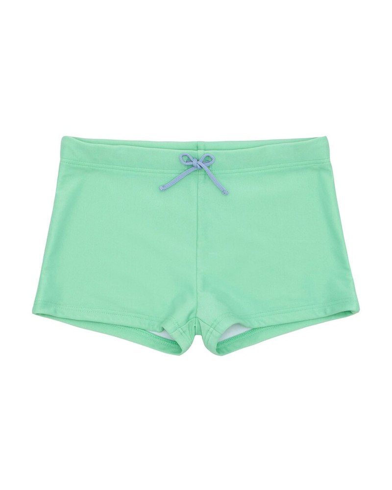 Minnow Brief