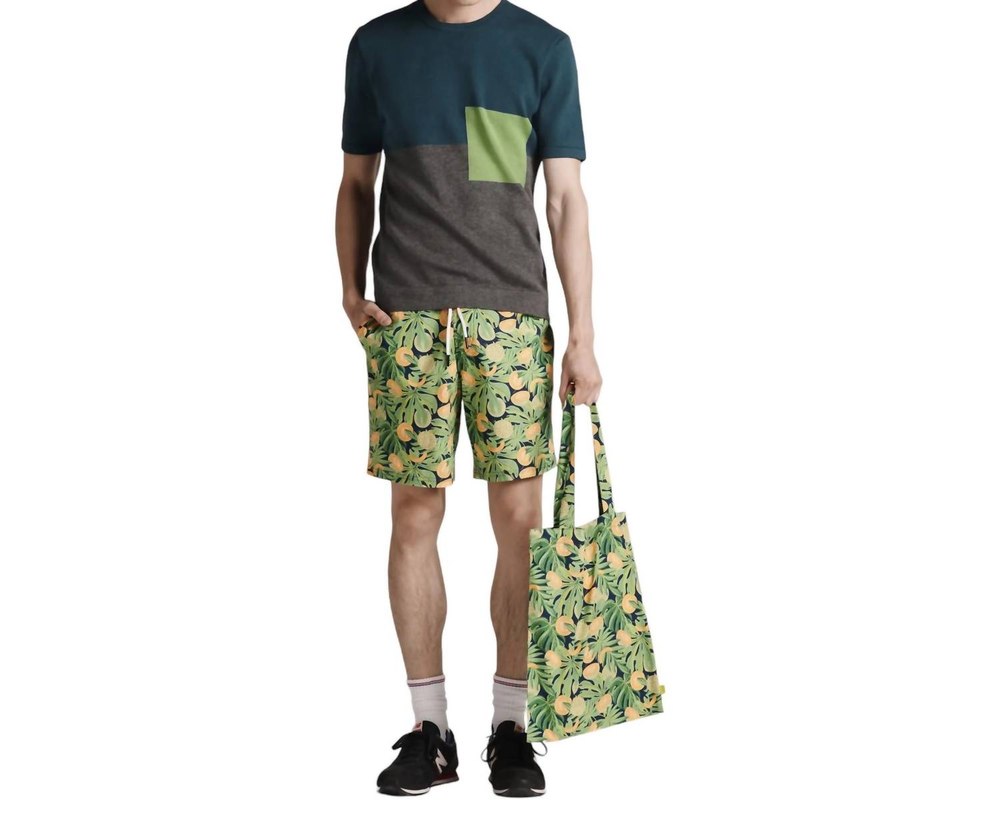 Men’s Cantaloupes Print Shorts In Green 7803886993468