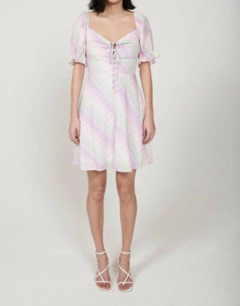 Posy Dress In Ombre Gingham