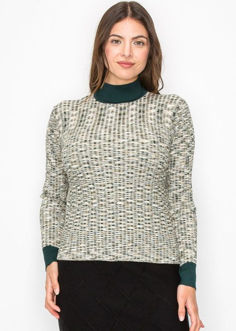 Multi-Tone Knit Sweater with High Neck 7832921833532