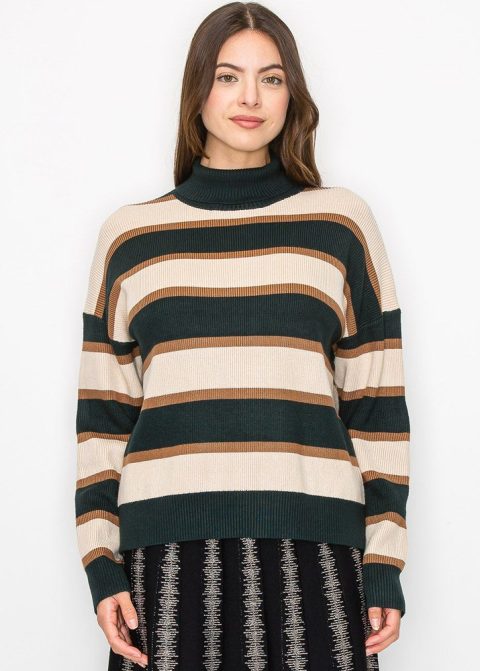 Forest Green Striped Turtleneck Sweater 7832923177020