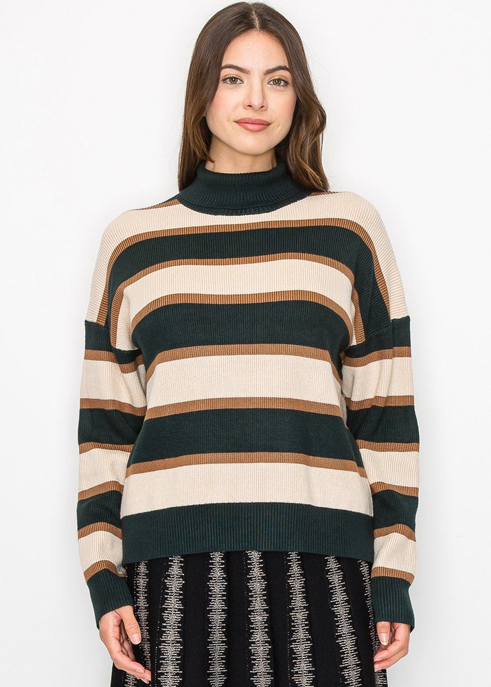 Forest Green Striped Turtleneck Sweater 7832923177020