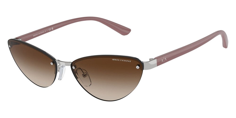 Armani Exchange Women’s 58mm Shiny Silver Sunglasses 7805794353212