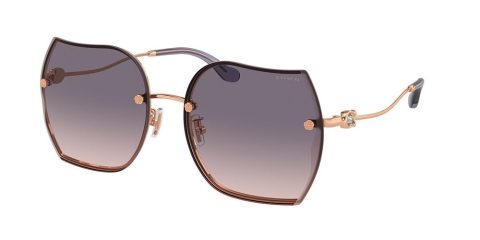 Coach Women’s 60mm Shiny Rose Gold Sunglasses 7805794287676