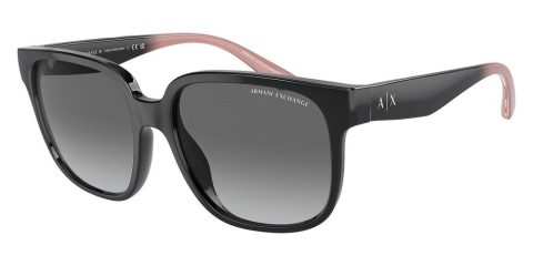 Armani Exchange Women’s 56mm Shiny Black Sunglasses 7805798416444