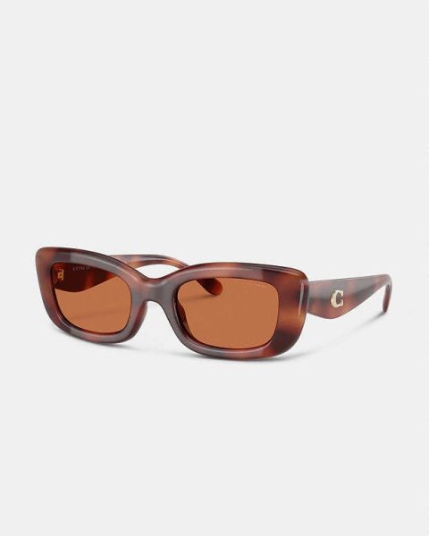 Coach Women’s 51mm Caramel Tortoise Sunglasses 7805803561020