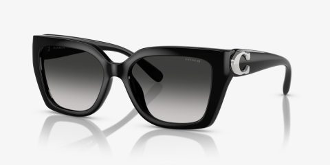 Coach Women’s 55mm Black Sunglasses 7805811818556