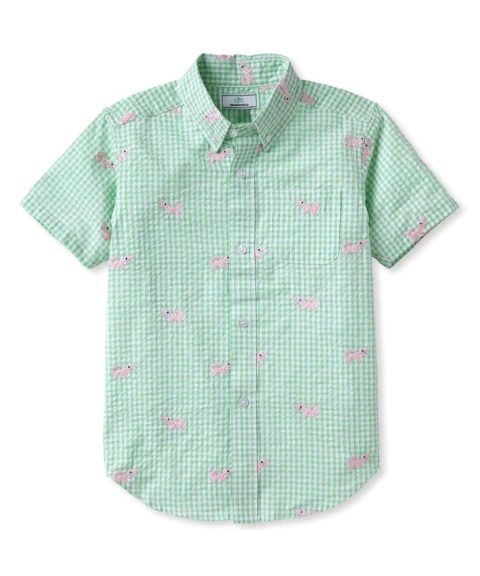 Classic Prep Boys Apple Green Gingham Button Down Short Sleeve Size: 6-14 Years 7805843275836