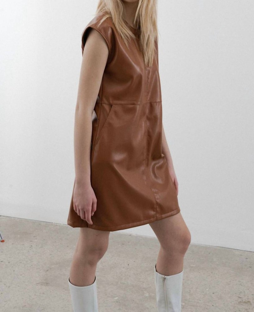 Cassi Dress In Cinnamon